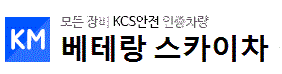 베테랑스카이차